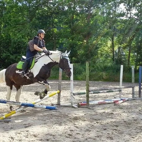 Reitanlage RV Niedersfeld e.V. - Foto 1