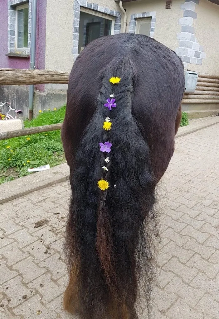 Bauer Anna Verena Reitstall - Foto 1