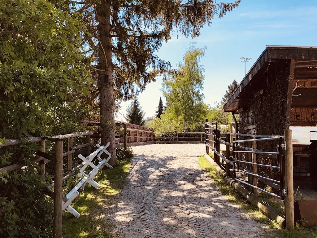 Reiterhof Toll - photo 3