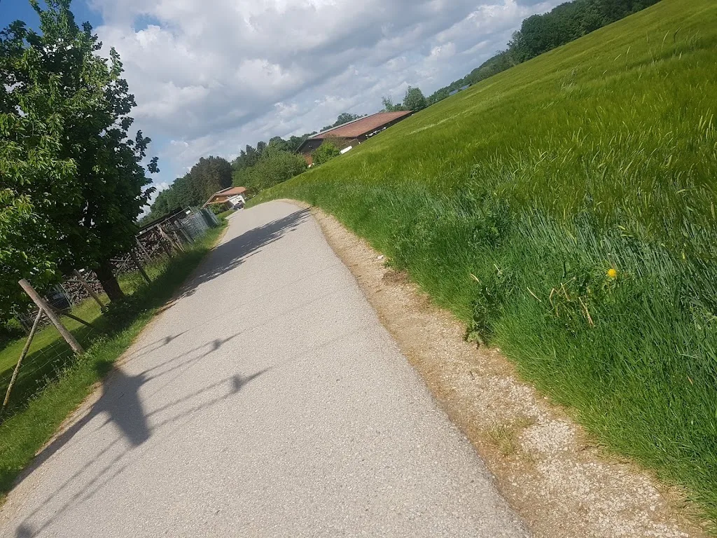 Pferdehof Rupprecht in Lauf-Günthersbühl - photo 2