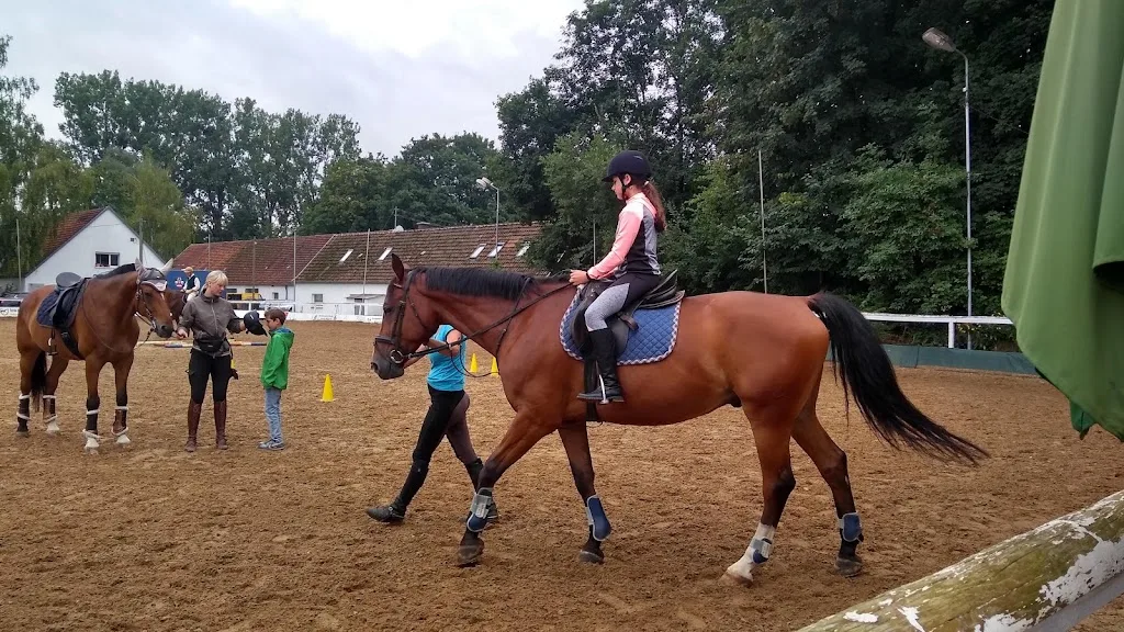 Reitstall Ruhland - Foto 1