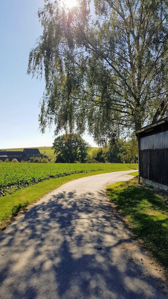 Reiterhof Schuir - Foto 2