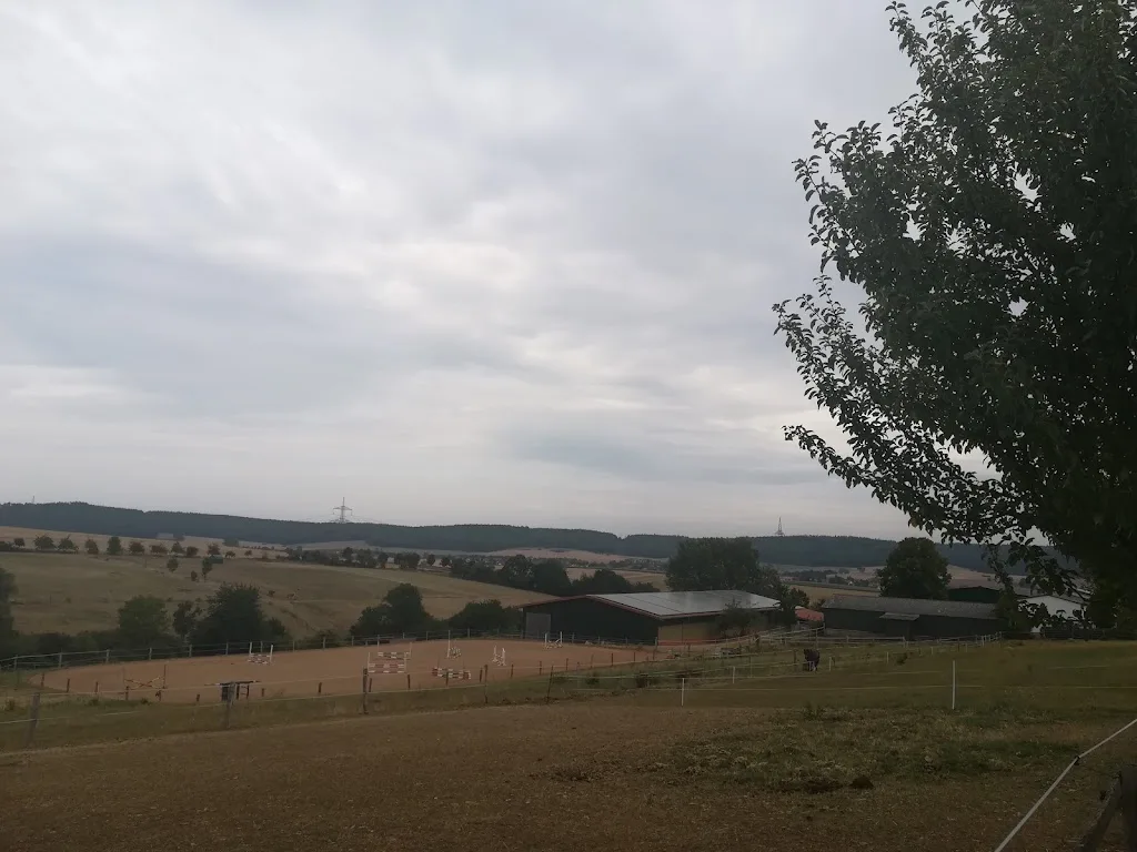 Pferdezentrum Edersee - Foto 2