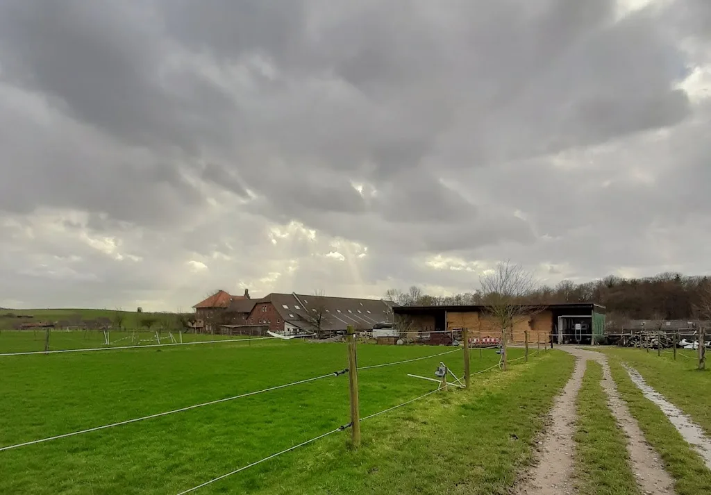 Pferdepension Oberwallneyer Hof - Foto 3