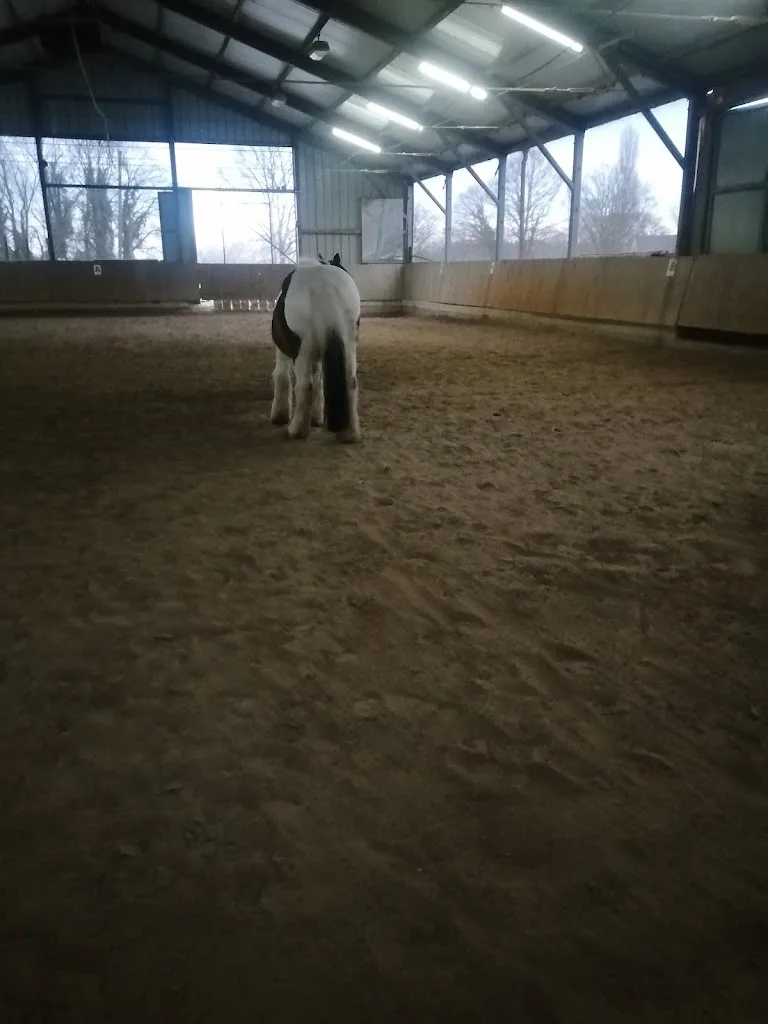Reitcentrum-Geithe - Foto 1