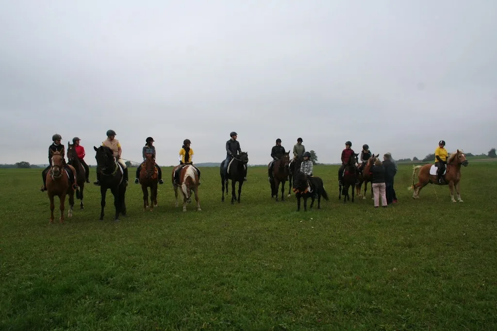 Reitstall Albhof - photo 3