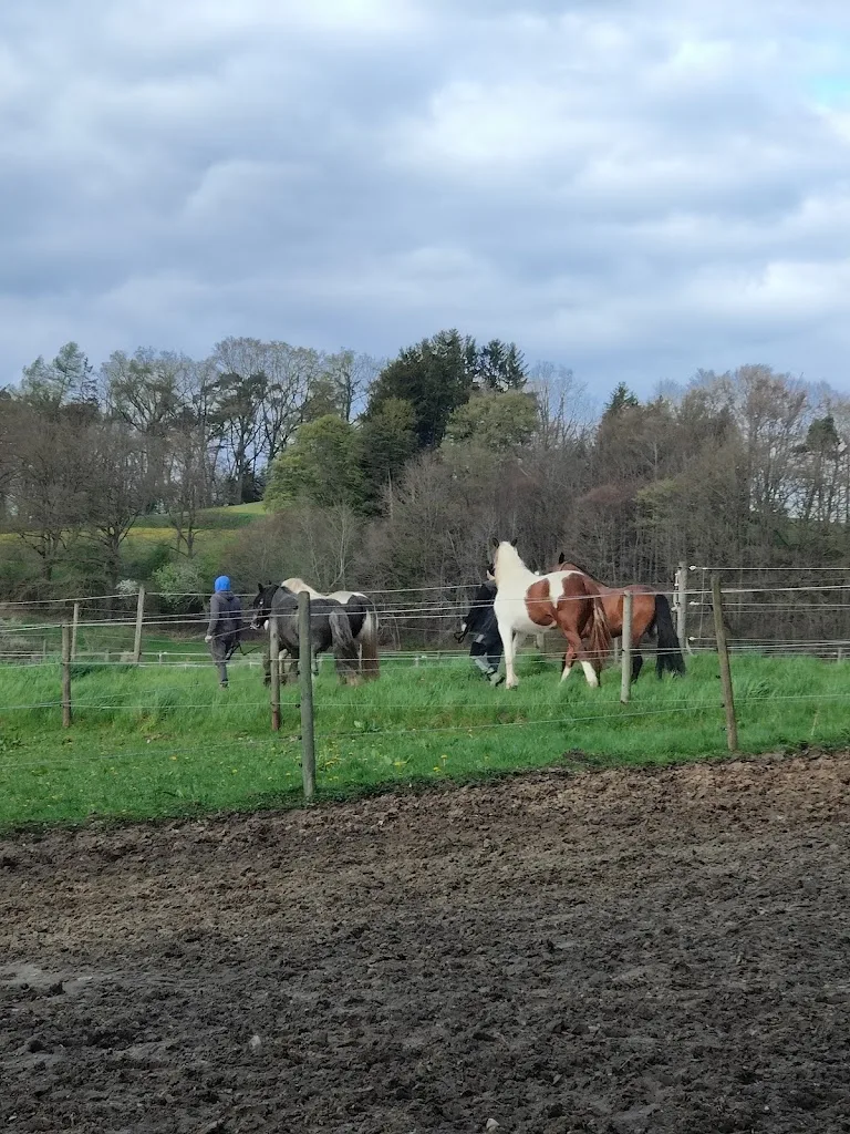 Reitanlage Hieber - photo 2