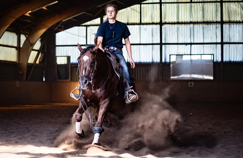 American Training Stable - photo 1