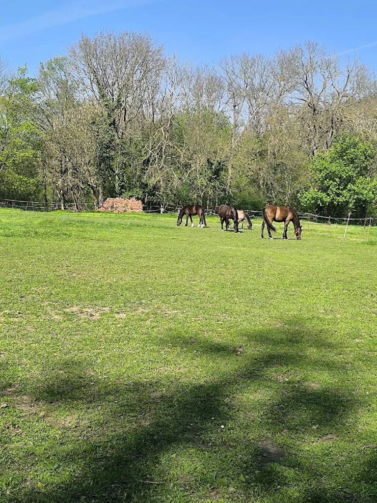 Fellnasen Ranch Wölkau - Foto 1