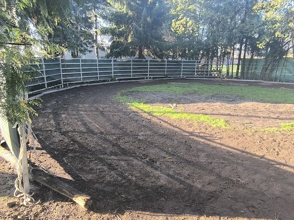 Fellnasen Ranch Wölkau - Foto 2