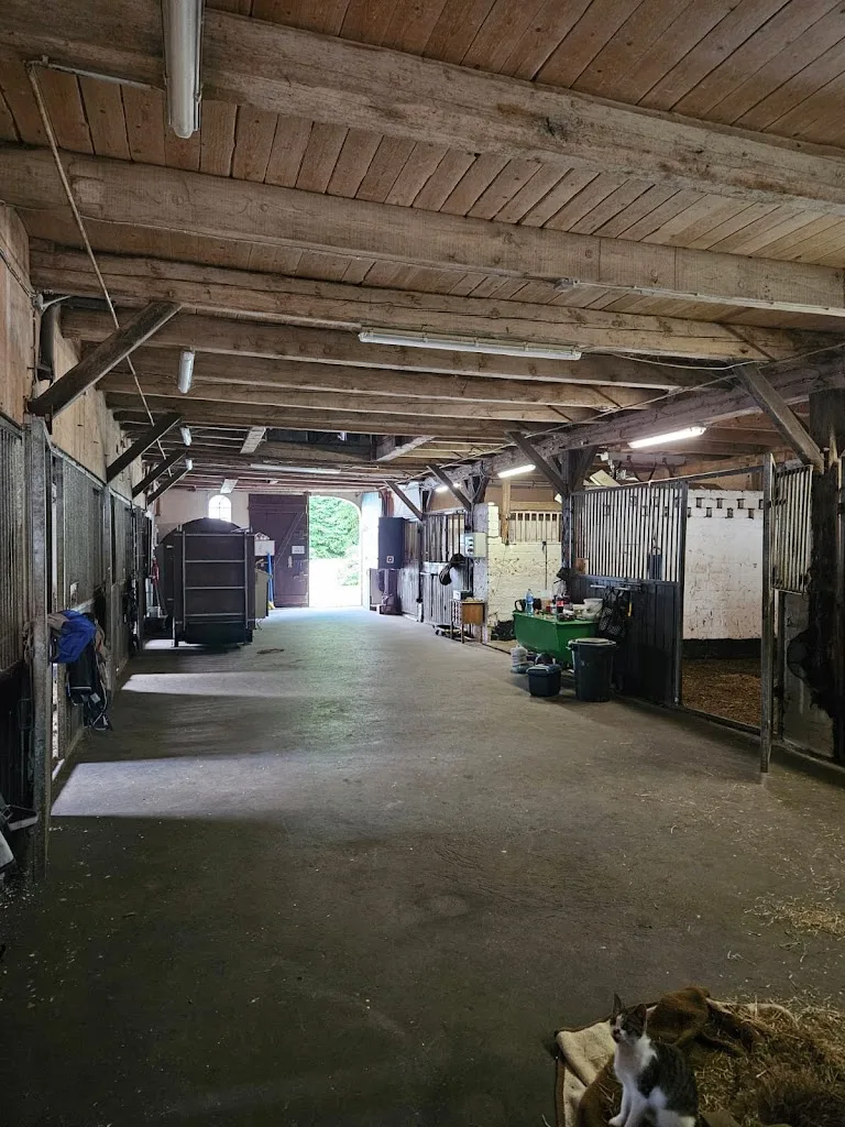 Pferdereha Eichenhof - Foto 1