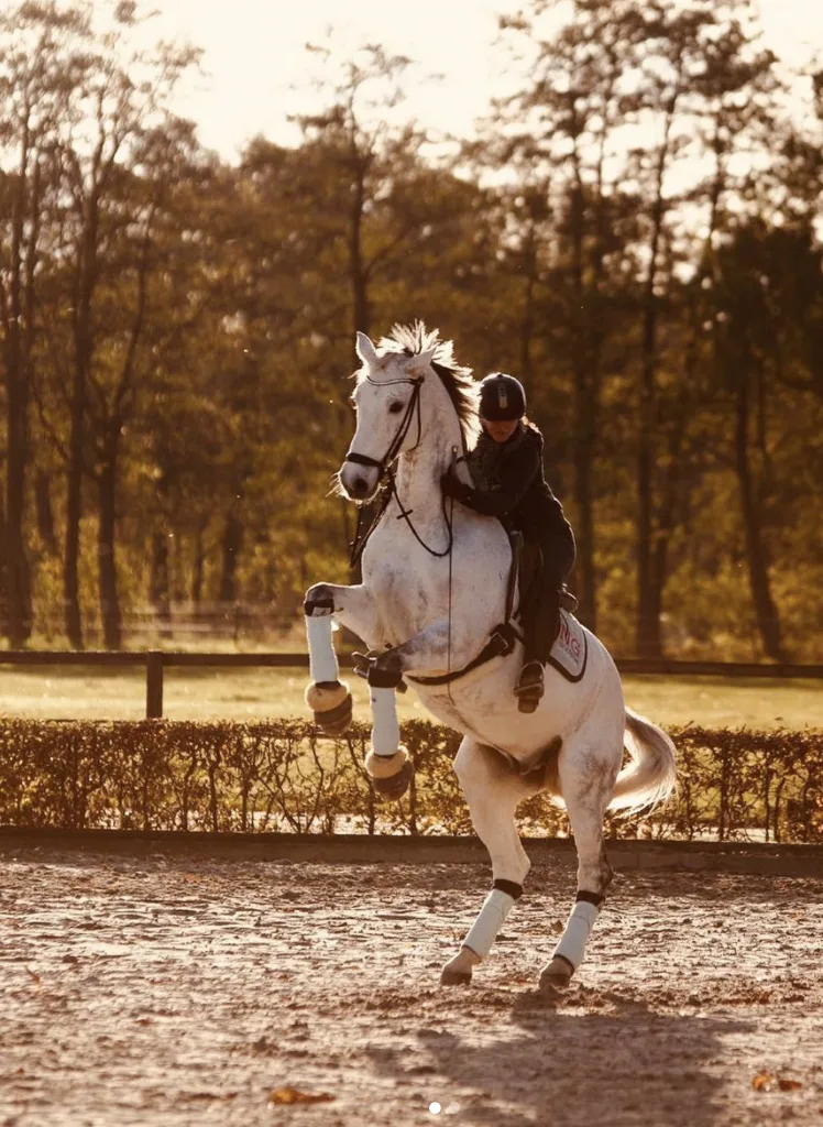 Reitstall Pundt - Foto 2