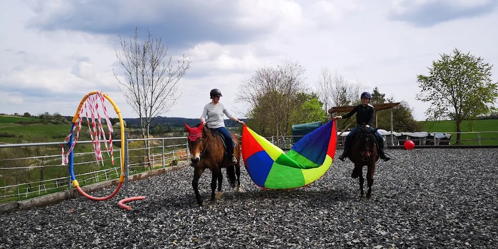 Reitsportanlage Zur Dornermühle (Pferderehazentrum) - Foto 3