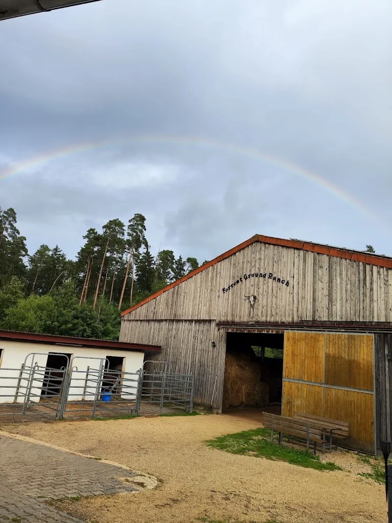 Pferdepension Forrest-Ground-Ranch - photo 1