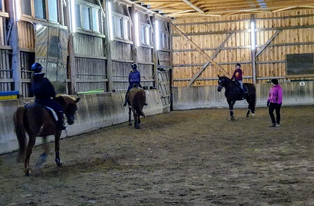 Pferdepension Forrest-Ground-Ranch - photo 2