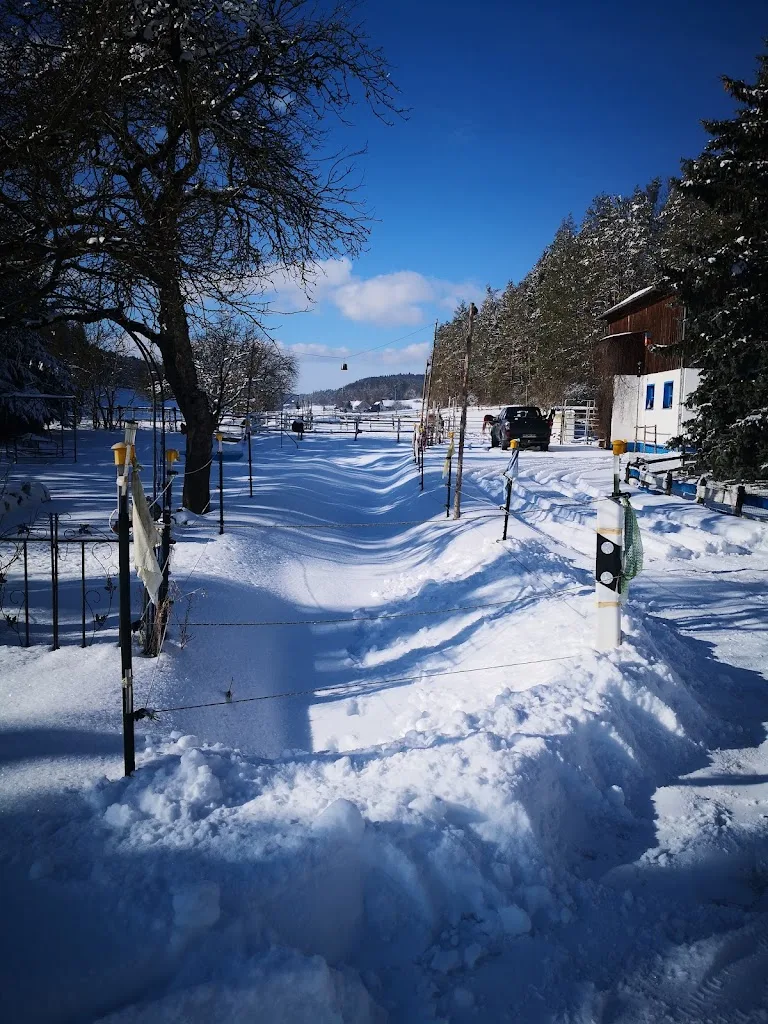 Pferdepension Forrest-Ground-Ranch - photo 3