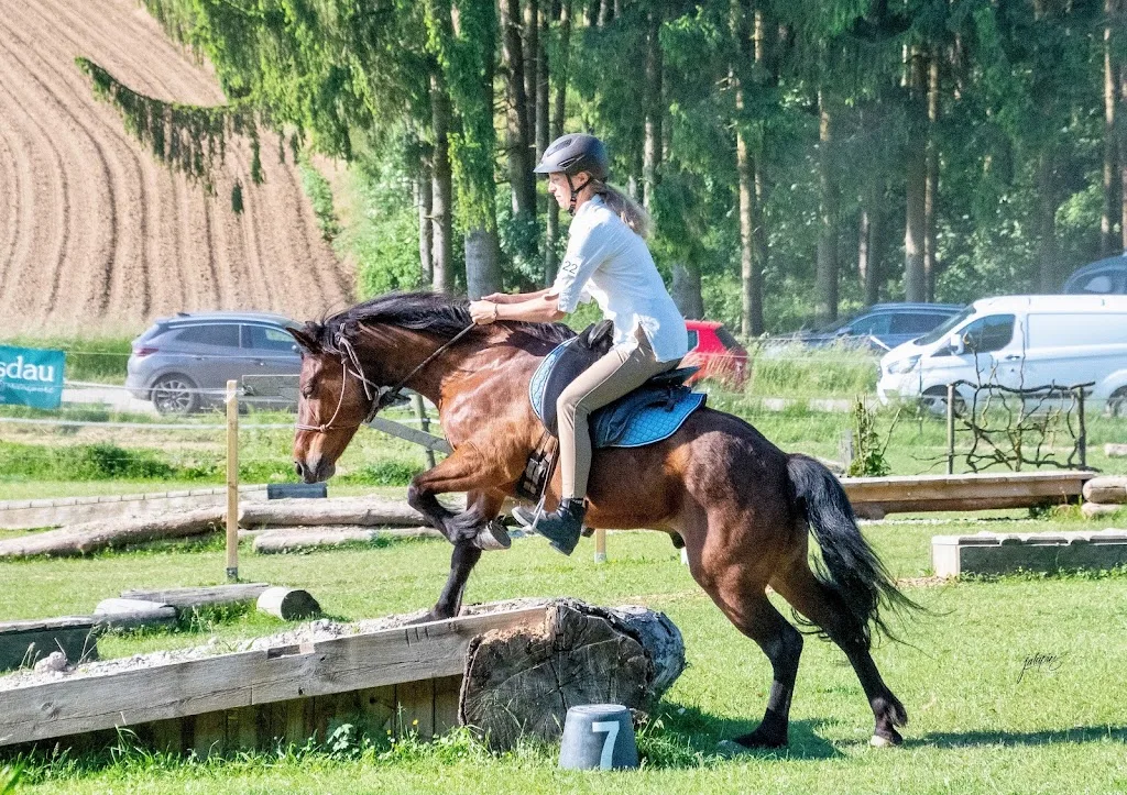 Golden Gait Ranch - Foto 3