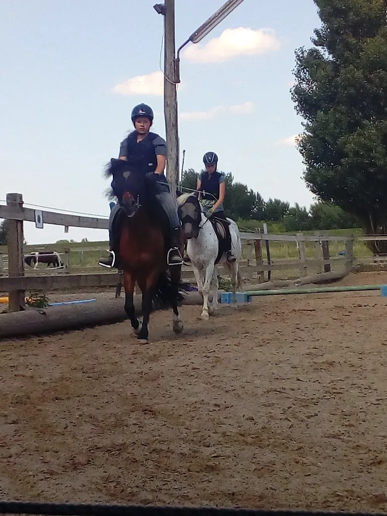 Reitschule Luna Deutzmann - Foto 1