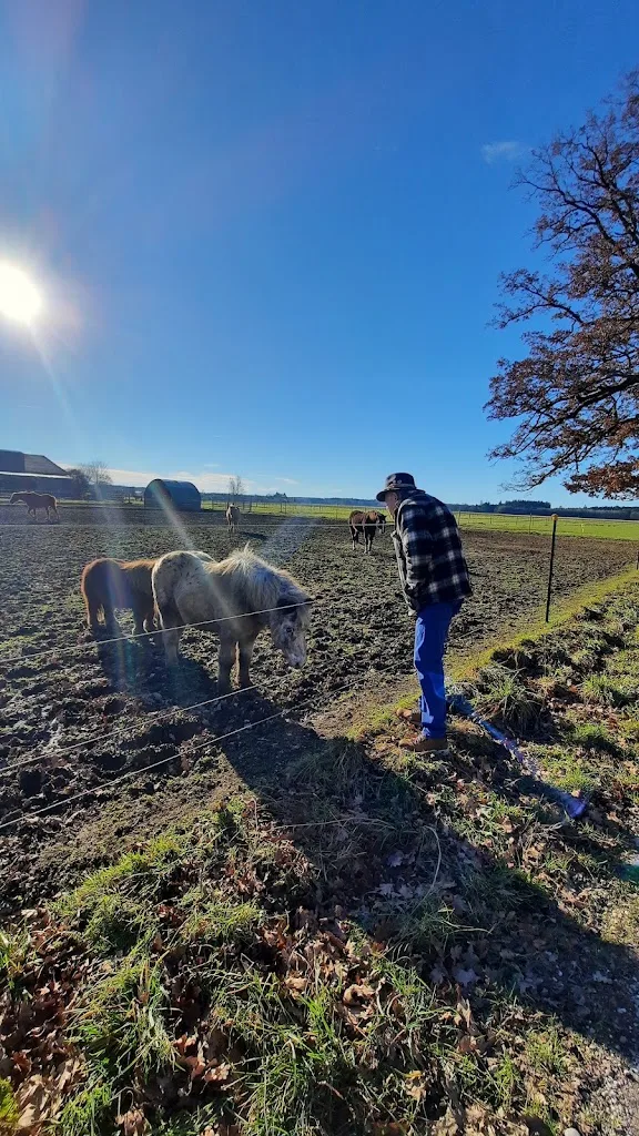 Reitanlage Portenläng - photo 1