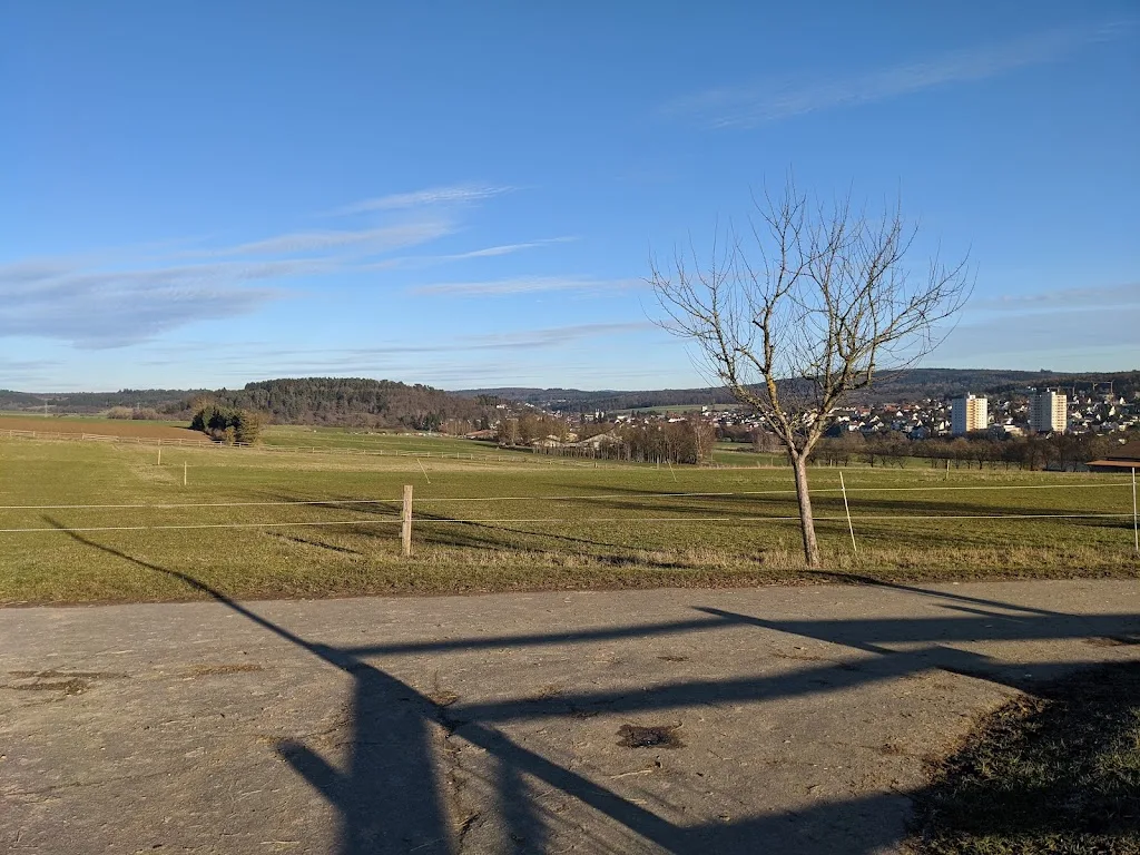 Reiterhof Müller - Foto 3