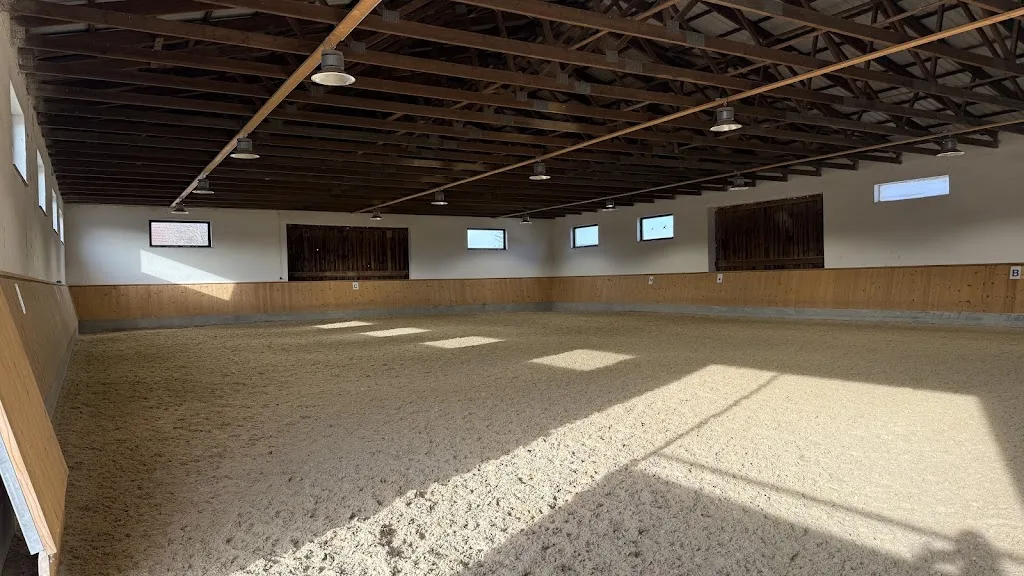 Islandpferde Seenhof - photo 2