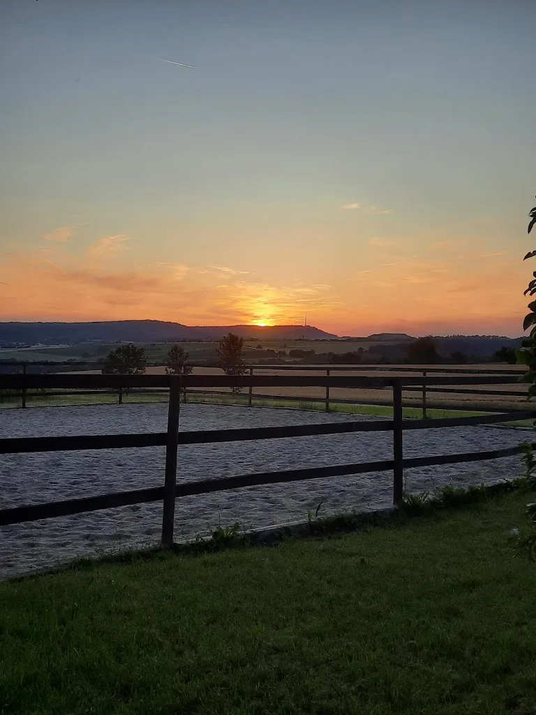 Hufgeflüster Erlach - photo 1