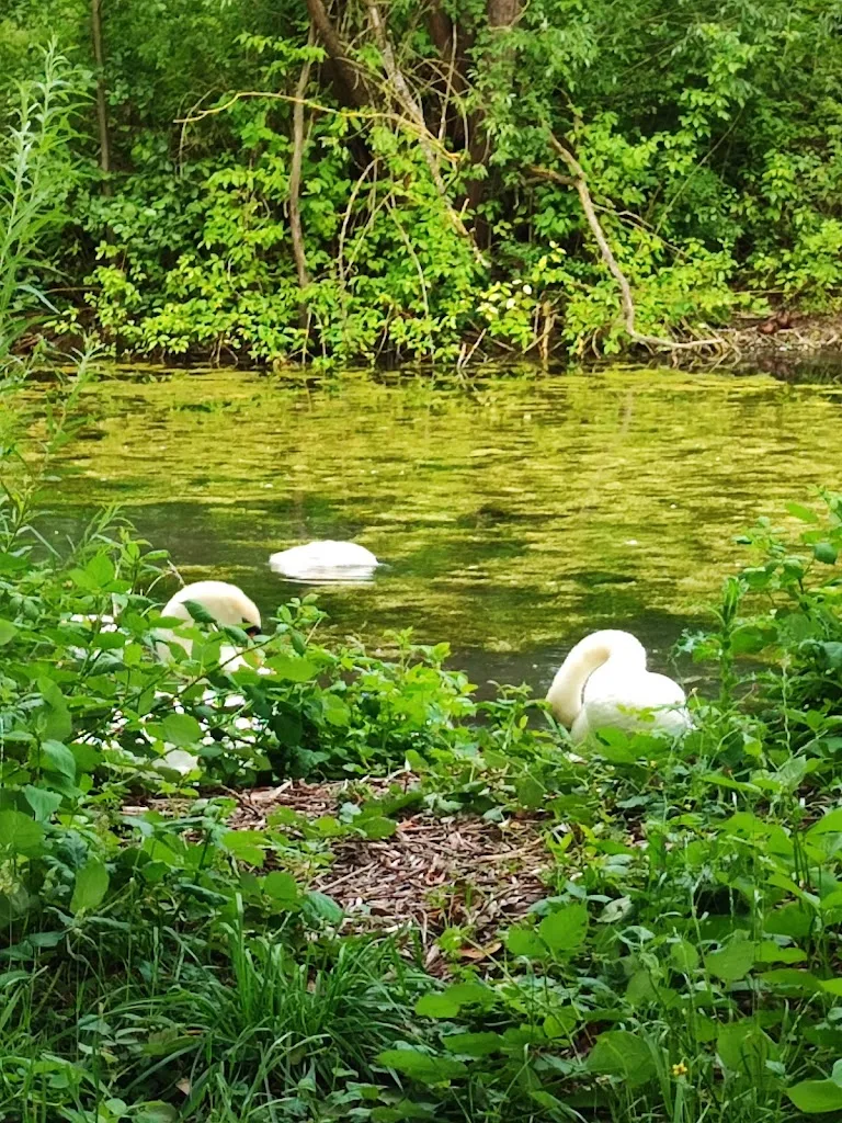 Göttinger Birkenhof - Foto 2