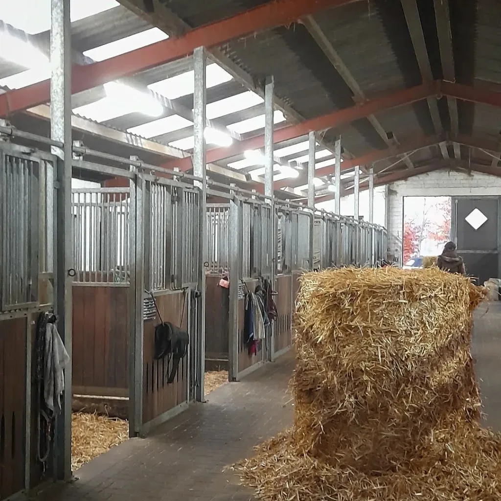 Reitstall Rosendahl - photo 2
