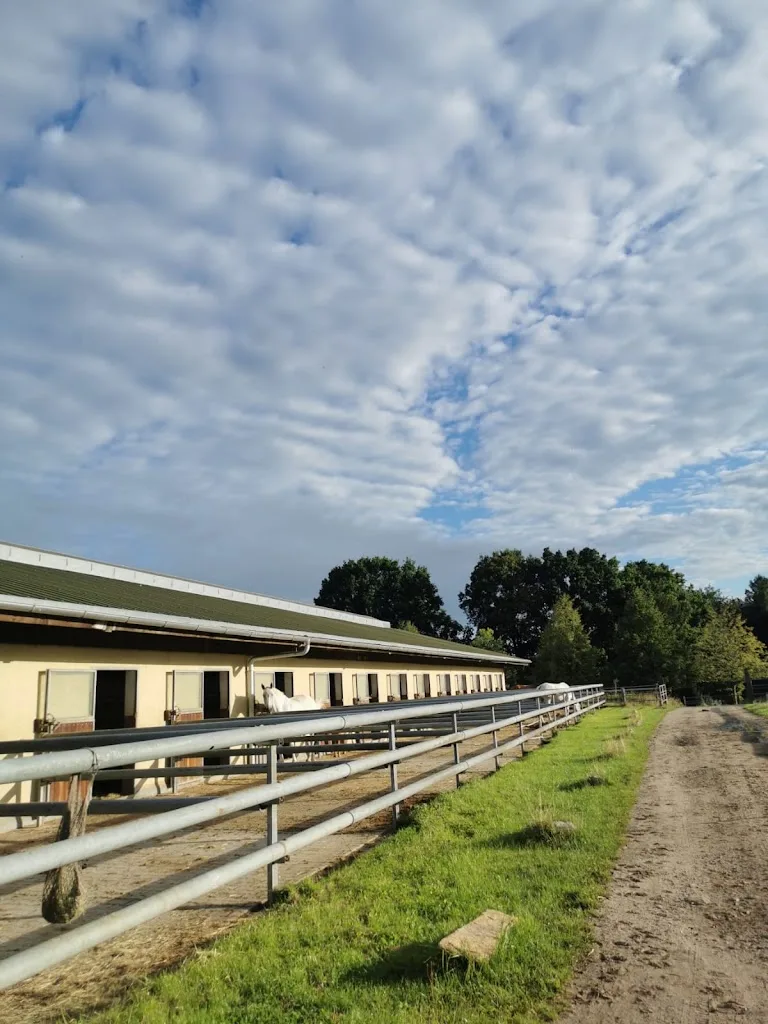 Pferdesportzentrum Lindenhöhe - photo 3