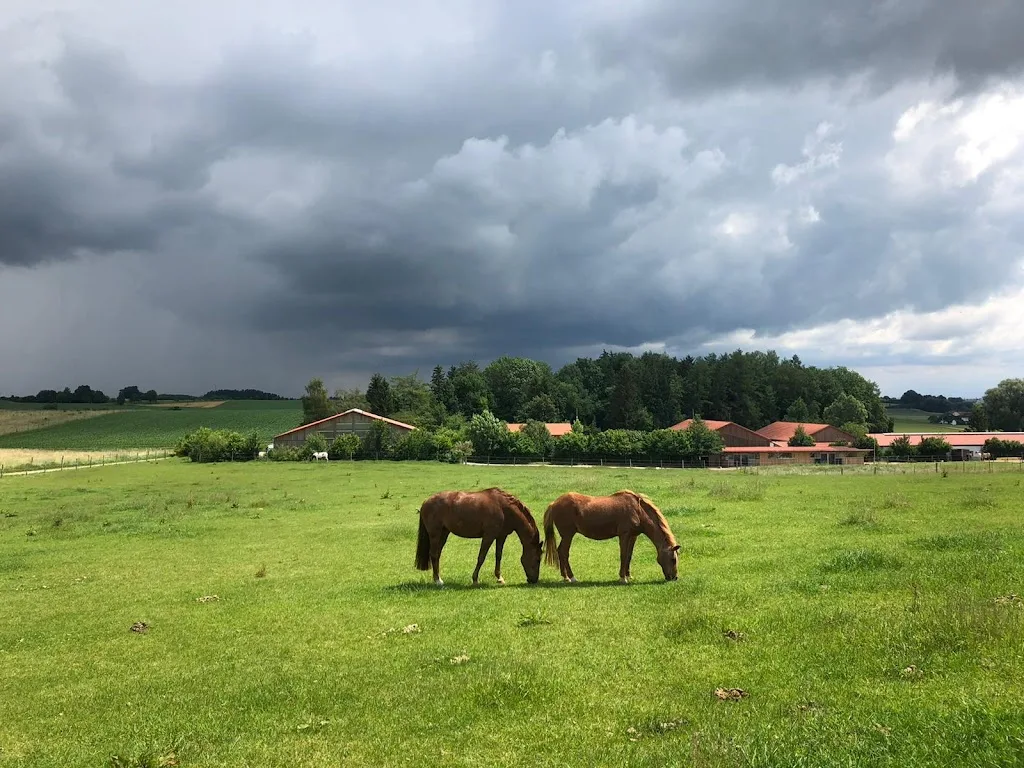Reitstall Giggenbach - photo 2
