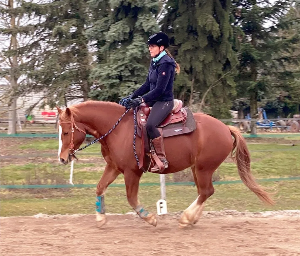 Double M Ranch - photo 2