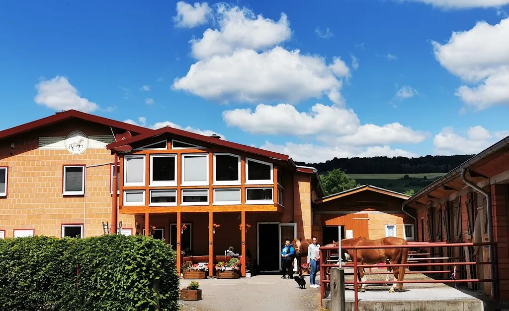 Pferdepension Hof Vespermann - Foto 3