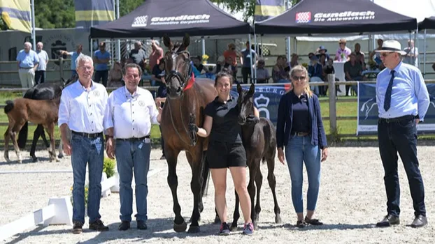 ZG Schmitz-May - photo 1