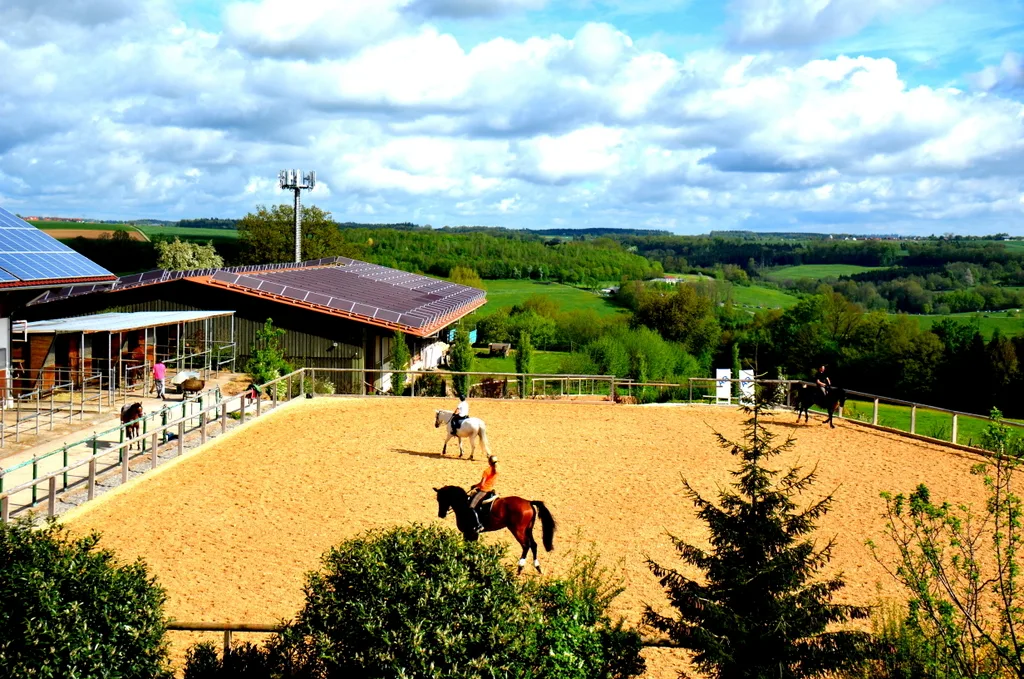 Showdown Ranch - photo 2