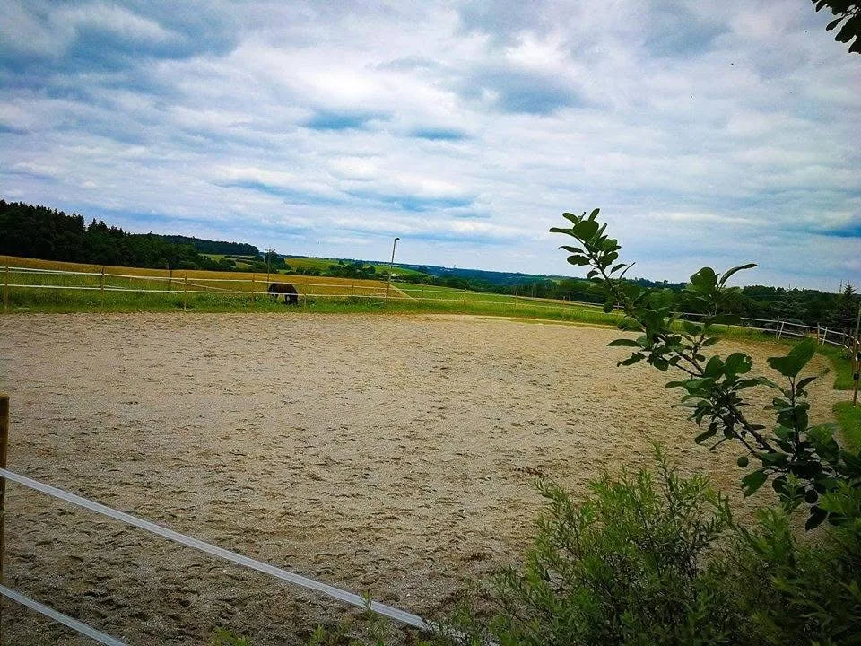 Showdown Ranch - photo 3
