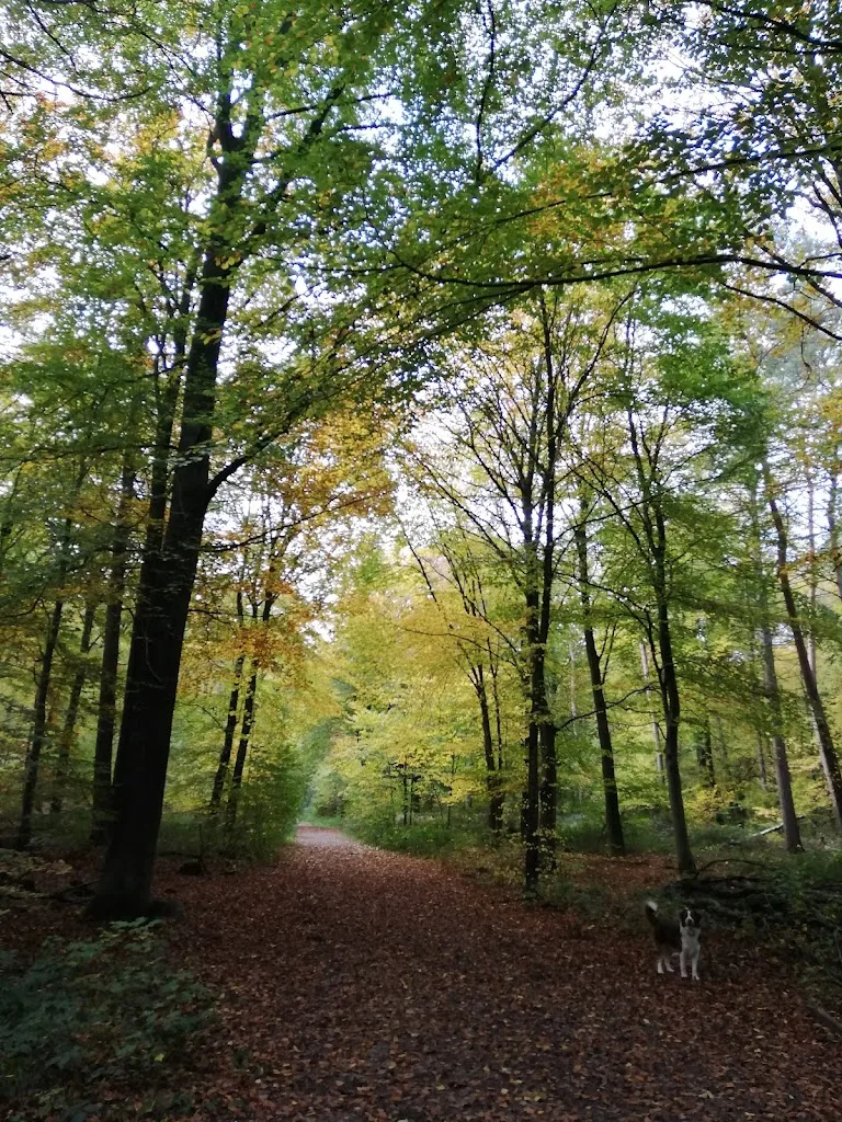Rosenhof Kiwitz - Foto 1