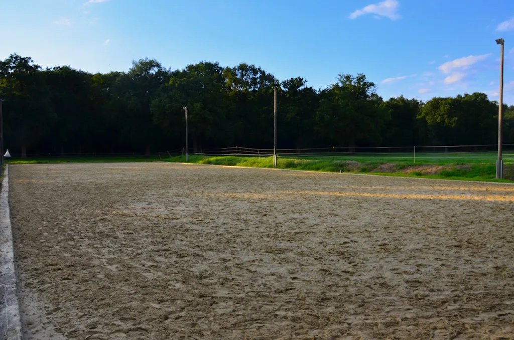 Gut Dützhof - Foto 2