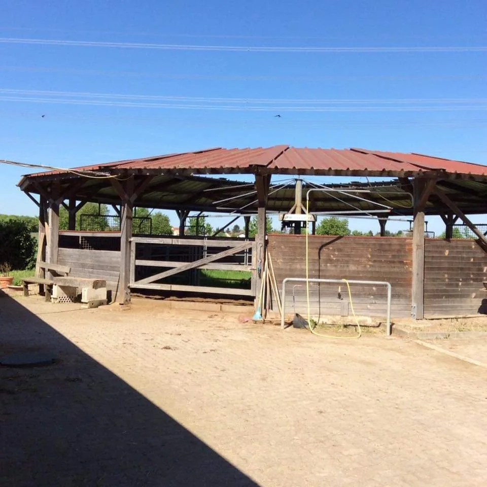 Reitstall Huber - Foto 1
