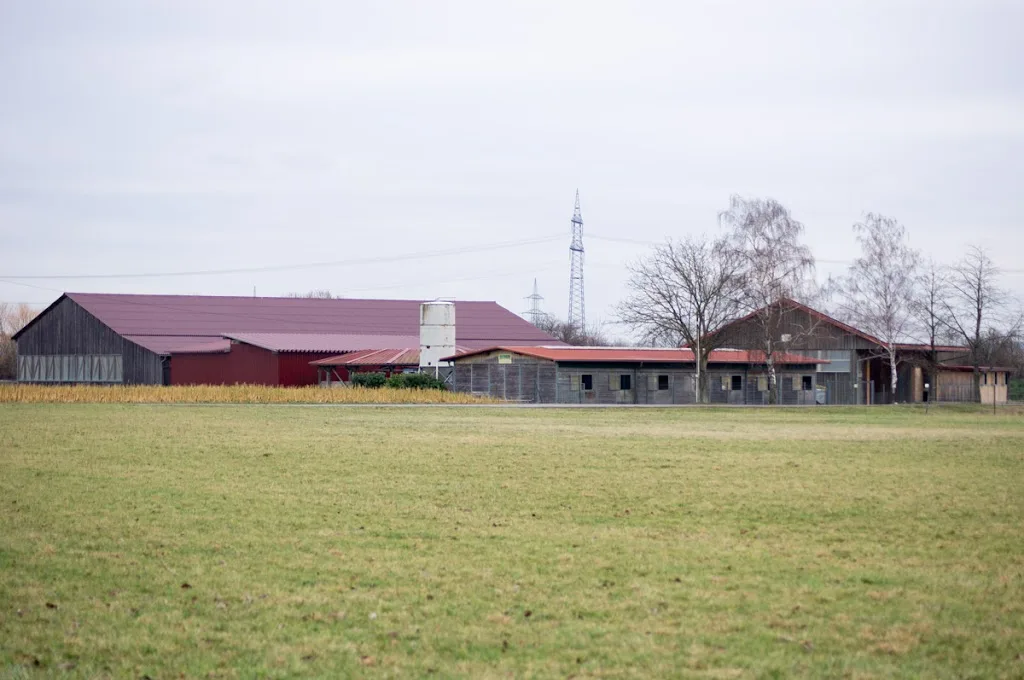 Reitstall Huber - Foto 2