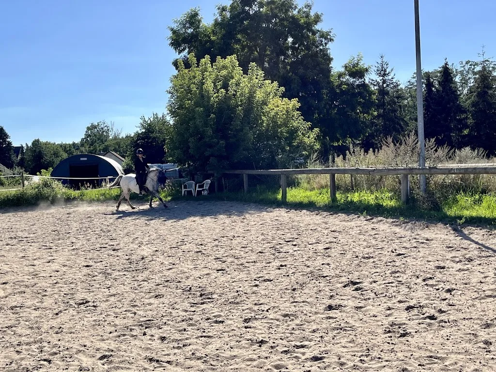 Aktivstall Thyrow - Foto 2