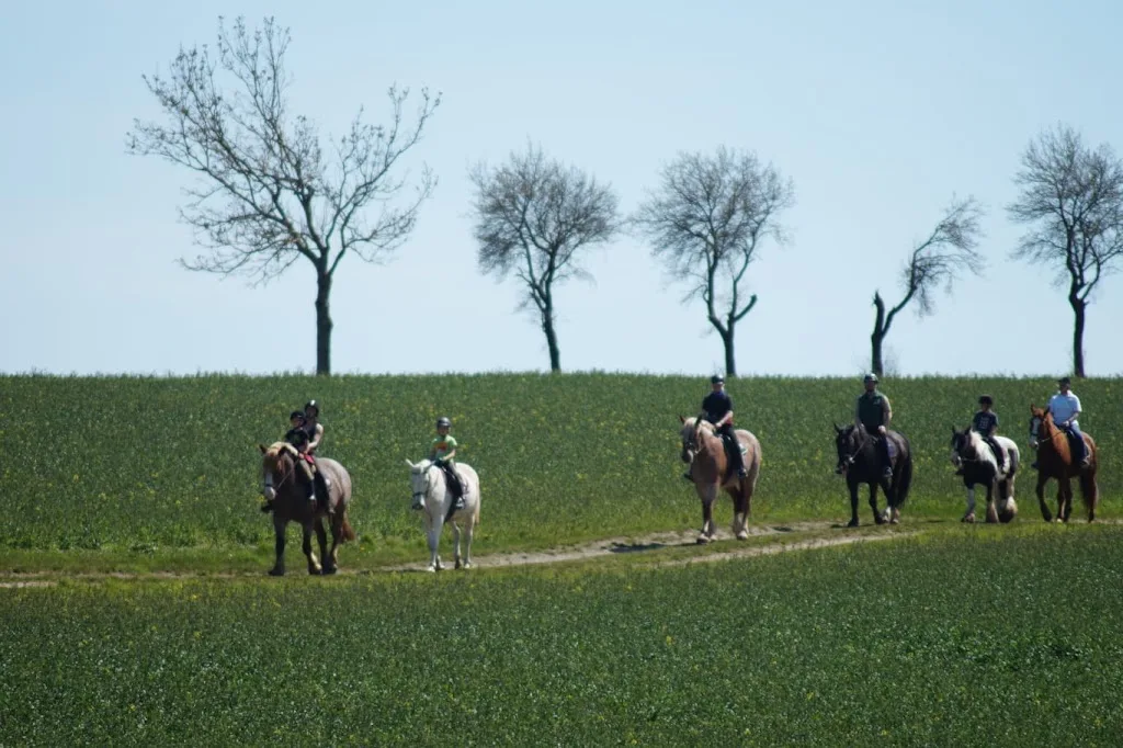 Reitverein "Zur Mühle" Breitenhain e.V. - Foto 2