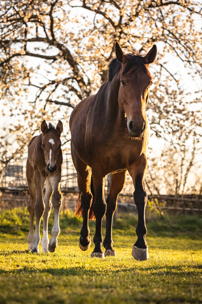 Little-G-Ranch - Foto 3