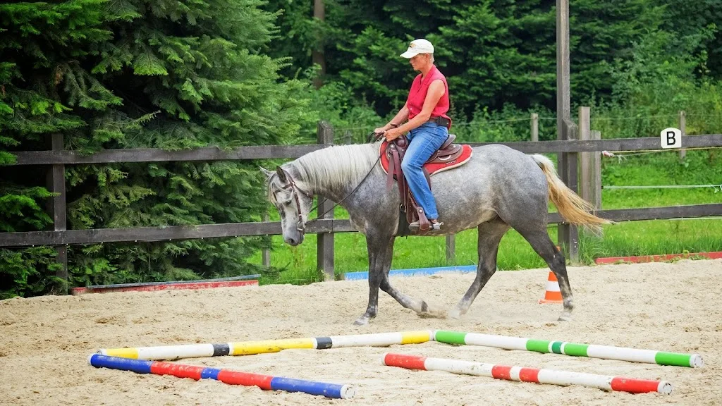 Utz Menke Reitstall - Foto 1