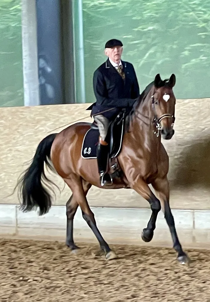 Lisa Gerlach Reitschule - Foto 3