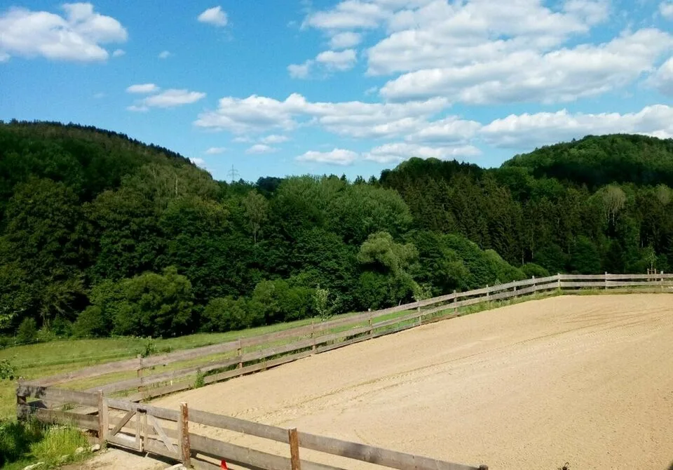 Horse and Sheep Ranch - Foto 3