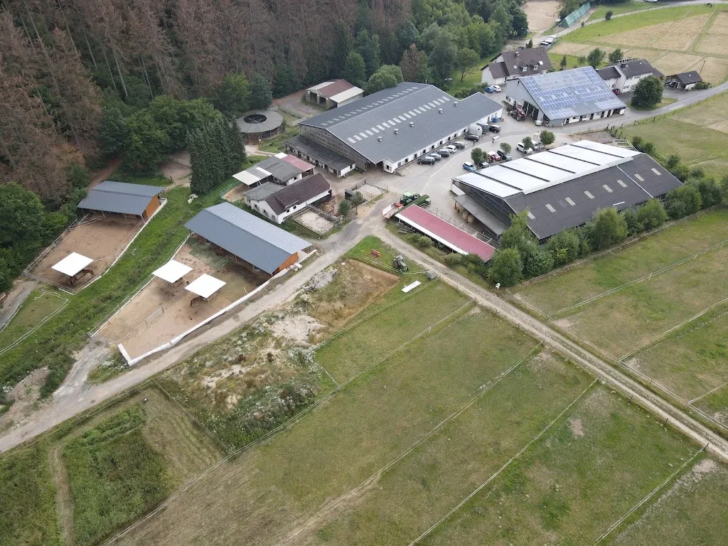 Pferdehaltung Löwenhof - Foto 1
