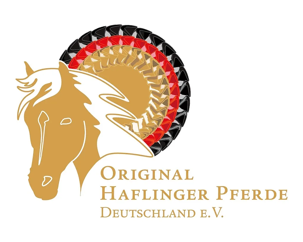 PHCG - Foto 1