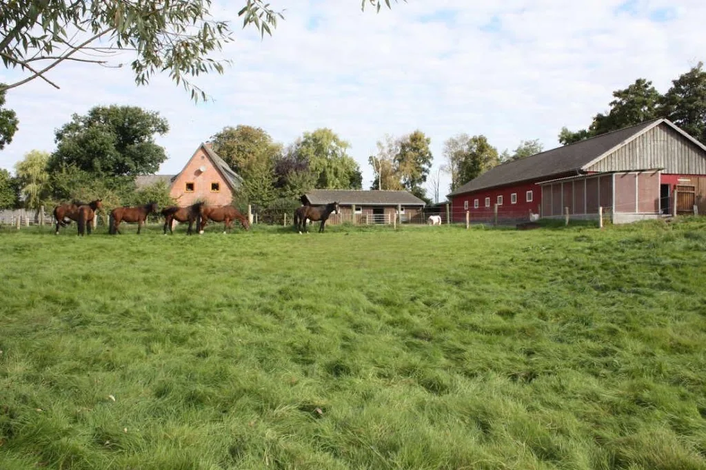 Pferdegemeinschaft Felmerholz e.V. -PGF- - Foto 1