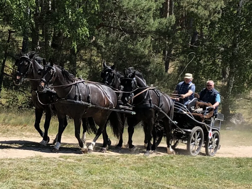 Reit-und Fahrverein e.V. Angermünde - photo 2