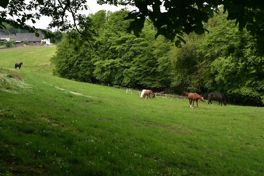 Gut Struckenberg - Foto 2